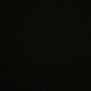 Meet your Posher, Whitney